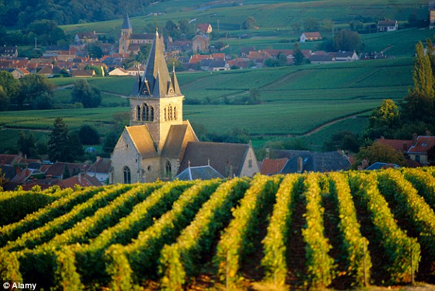 France, Marne, Champagne Region, Epernay, sign for Moet & Chandon champagne  winery Stock Photo - Alamy