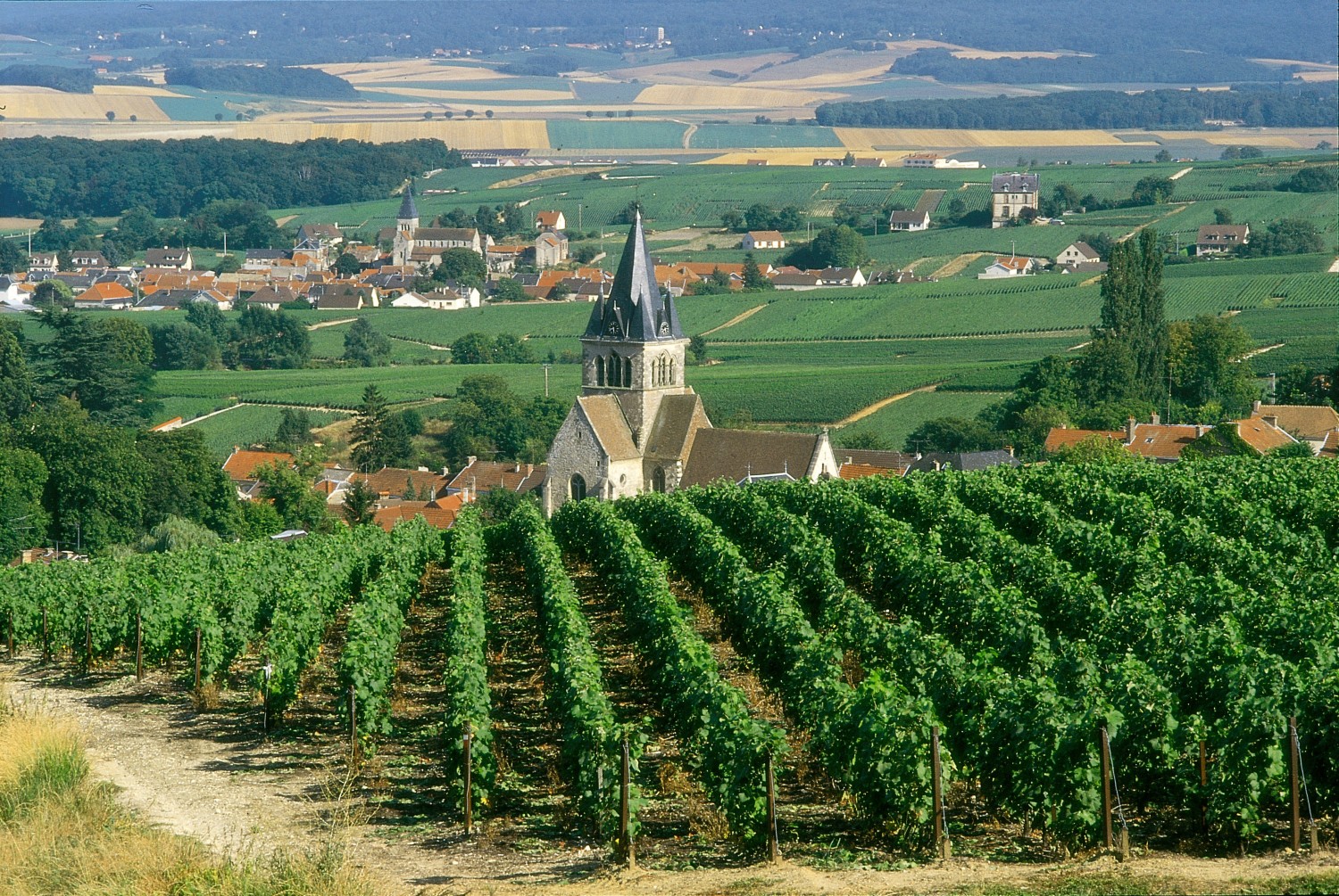 best champagne tour in epernay