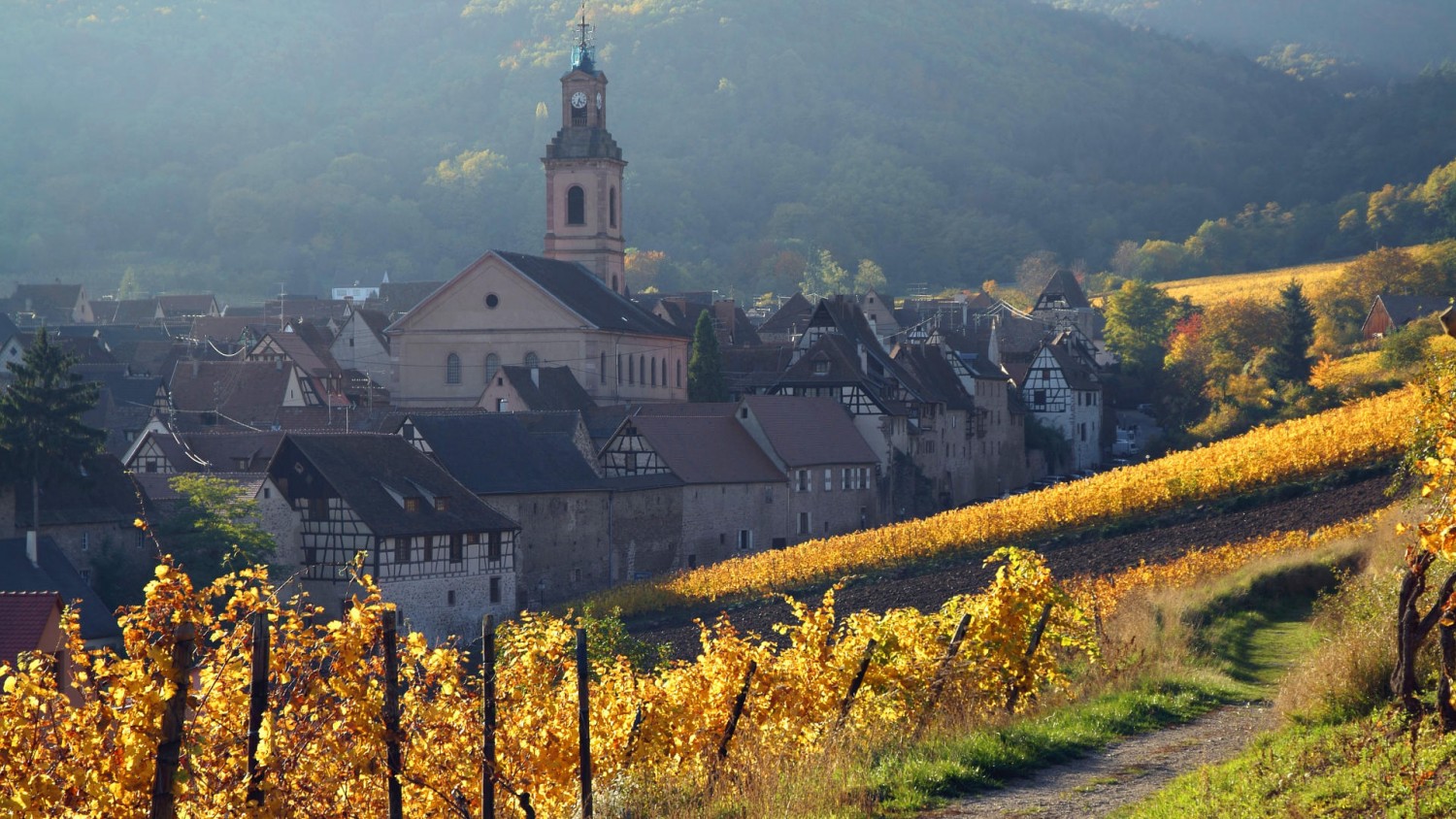 alsace wine tour from colmar